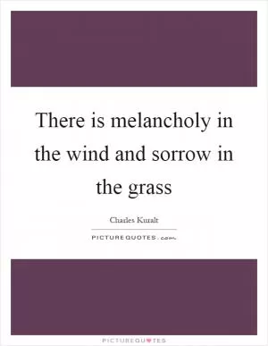 There is melancholy in the wind and sorrow in the grass Picture Quote #1
