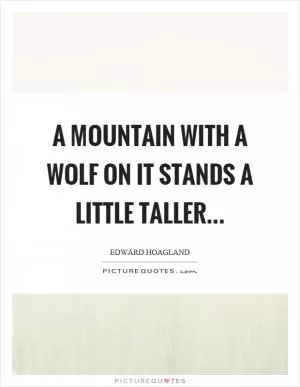 A mountain with a wolf on it stands a little taller Picture Quote #1