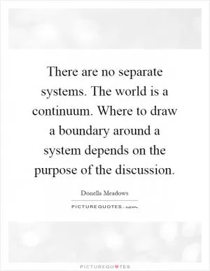 There are no separate systems. The world is a continuum. Where to draw a boundary around a system depends on the purpose of the discussion Picture Quote #1