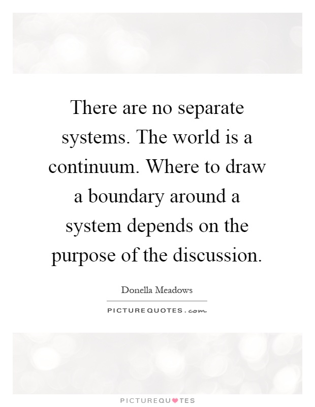 There are no separate systems. The world is a continuum. Where to draw a boundary around a system depends on the purpose of the discussion Picture Quote #1
