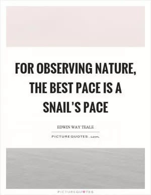 For observing nature, the best pace is a snail’s pace Picture Quote #1