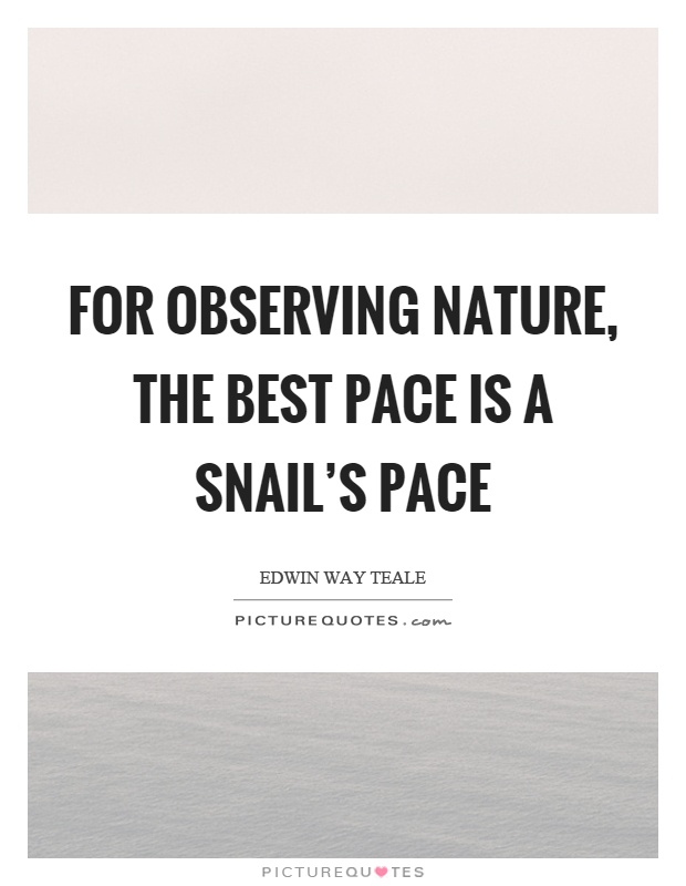 For observing nature, the best pace is a snail's pace Picture Quote #1