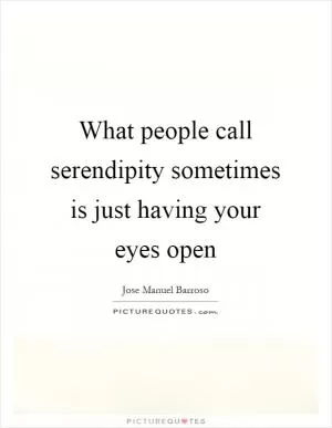 What people call serendipity sometimes is just having your eyes open Picture Quote #1
