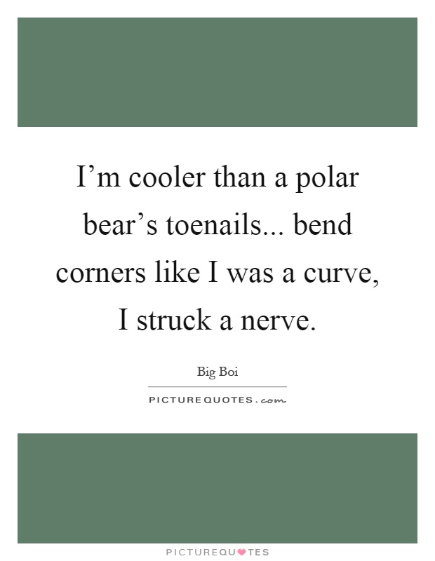 I'm cooler than a polar bear's toenails... bend corners like I was a curve, I struck a nerve Picture Quote #1