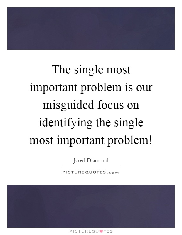 The single most important problem is our misguided focus on identifying the single most important problem! Picture Quote #1