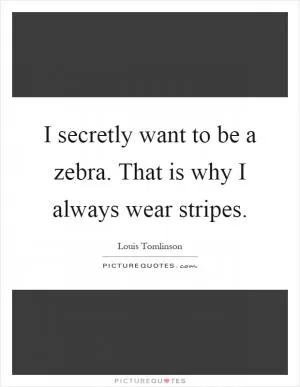 I secretly want to be a zebra. That is why I always wear stripes Picture Quote #1