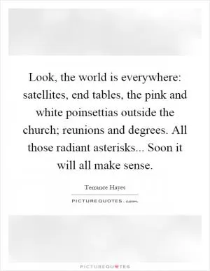Look, the world is everywhere: satellites, end tables, the pink and white poinsettias outside the church; reunions and degrees. All those radiant asterisks... Soon it will all make sense Picture Quote #1