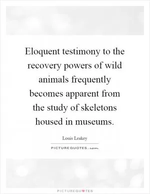 Eloquent testimony to the recovery powers of wild animals frequently becomes apparent from the study of skeletons housed in museums Picture Quote #1