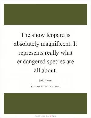 The snow leopard is absolutely magnificent. It represents really what endangered species are all about Picture Quote #1