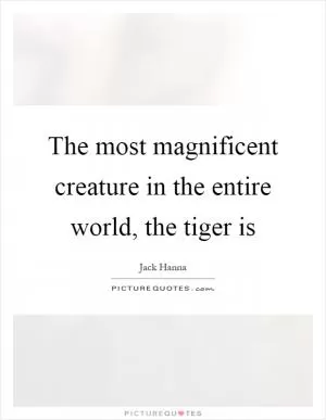 The most magnificent creature in the entire world, the tiger is Picture Quote #1