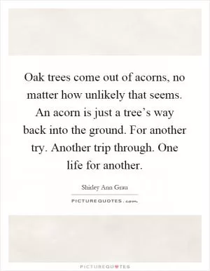 Oak trees come out of acorns, no matter how unlikely that seems. An acorn is just a tree’s way back into the ground. For another try. Another trip through. One life for another Picture Quote #1
