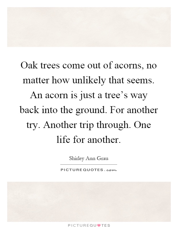 Oak trees come out of acorns, no matter how unlikely that seems. An acorn is just a tree's way back into the ground. For another try. Another trip through. One life for another Picture Quote #1