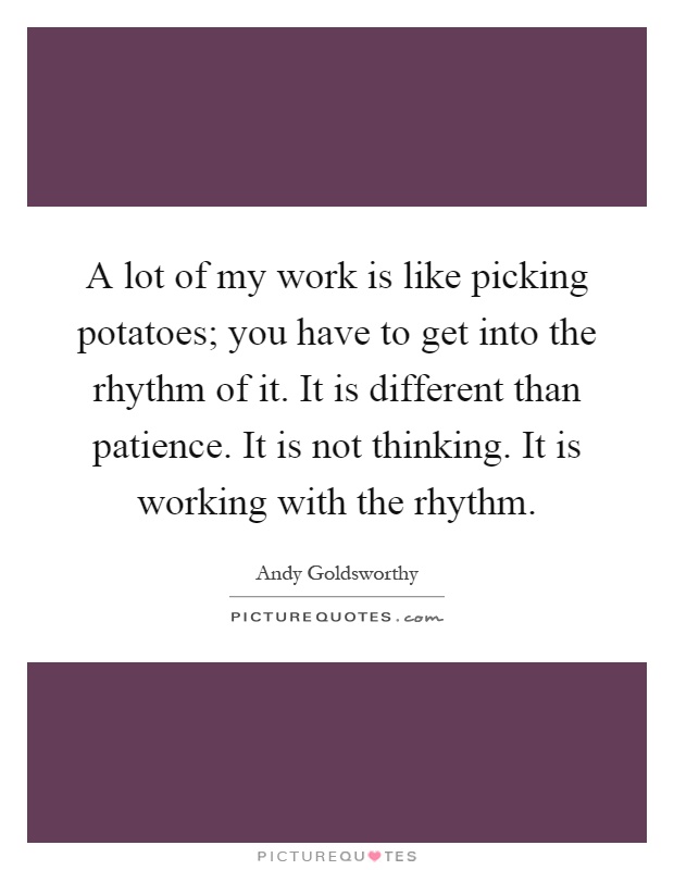 A lot of my work is like picking potatoes; you have to get into the rhythm of it. It is different than patience. It is not thinking. It is working with the rhythm Picture Quote #1