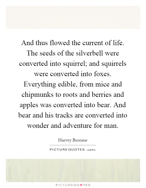 And thus flowed the current of life. The seeds of the silverbell were converted into squirrel; and squirrels were converted into foxes. Everything edible, from mice and chipmunks to roots and berries and apples was converted into bear. And bear and his tracks are converted into wonder and adventure for man Picture Quote #1