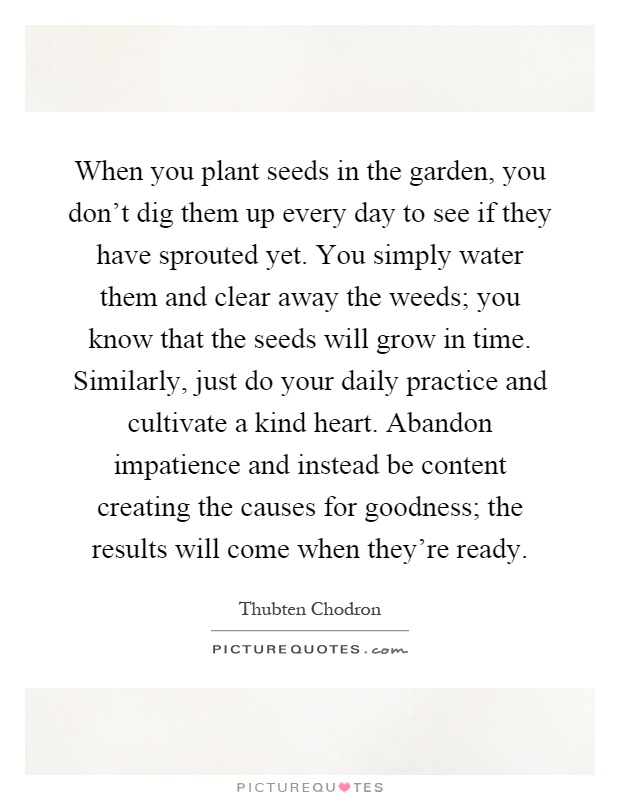 When you plant seeds in the garden, you don't dig them up every day to see if they have sprouted yet. You simply water them and clear away the weeds; you know that the seeds will grow in time. Similarly, just do your daily practice and cultivate a kind heart. Abandon impatience and instead be content creating the causes for goodness; the results will come when they're ready Picture Quote #1