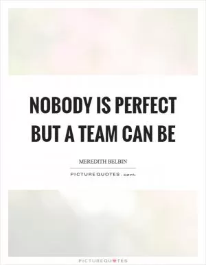 Nobody is perfect but a team can be Picture Quote #1