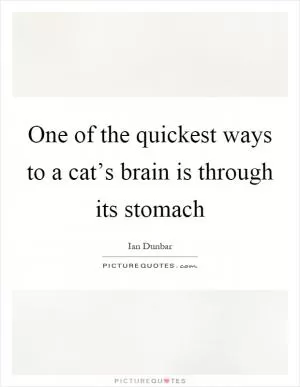 One of the quickest ways to a cat’s brain is through its stomach Picture Quote #1