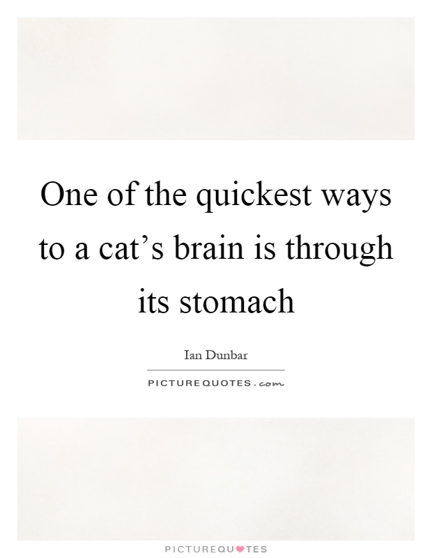 One of the quickest ways to a cat's brain is through its stomach Picture Quote #1