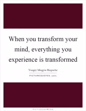 When you transform your mind, everything you experience is transformed Picture Quote #1