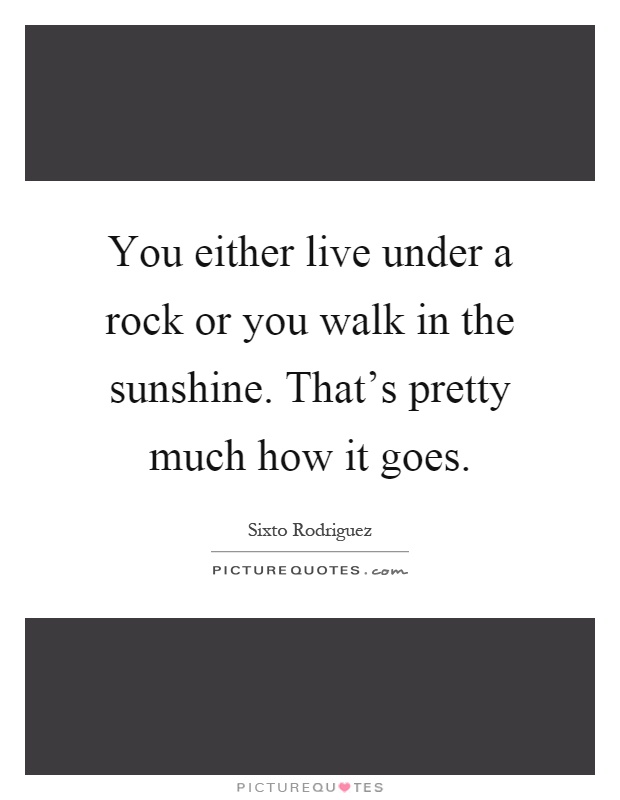You either live under a rock or you walk in the sunshine. That's pretty much how it goes Picture Quote #1