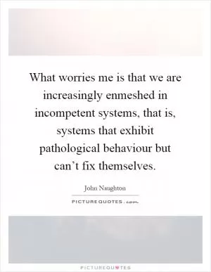 What worries me is that we are increasingly enmeshed in incompetent systems, that is, systems that exhibit pathological behaviour but can’t fix themselves Picture Quote #1