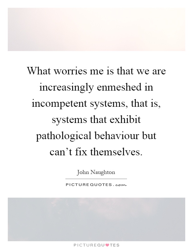 What worries me is that we are increasingly enmeshed in incompetent systems, that is, systems that exhibit pathological behaviour but can't fix themselves Picture Quote #1