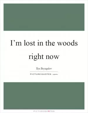 I’m lost in the woods right now Picture Quote #1