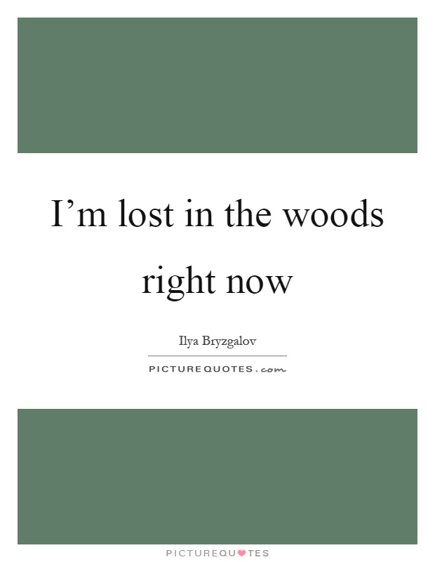 I'm lost in the woods right now Picture Quote #1