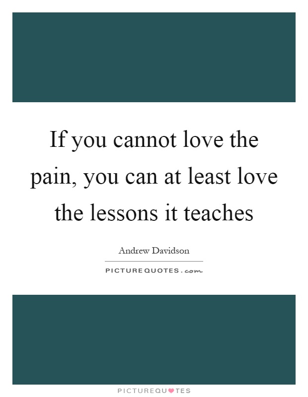 If you cannot love the pain, you can at least love the lessons it teaches Picture Quote #1