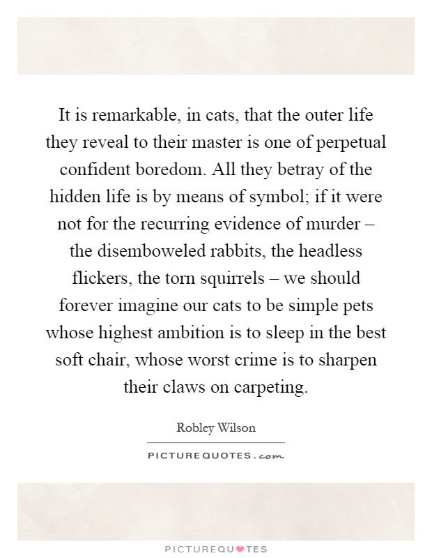 It is remarkable, in cats, that the outer life they reveal to their master is one of perpetual confident boredom. All they betray of the hidden life is by means of symbol; if it were not for the recurring evidence of murder – the disemboweled rabbits, the headless flickers, the torn squirrels – we should forever imagine our cats to be simple pets whose highest ambition is to sleep in the best soft chair, whose worst crime is to sharpen their claws on carpeting Picture Quote #1