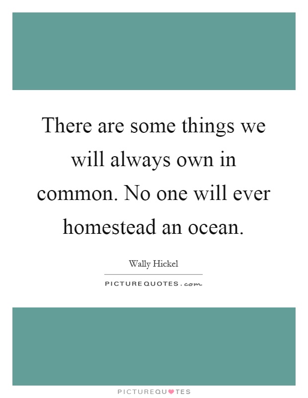 There are some things we will always own in common. No one will ever homestead an ocean Picture Quote #1