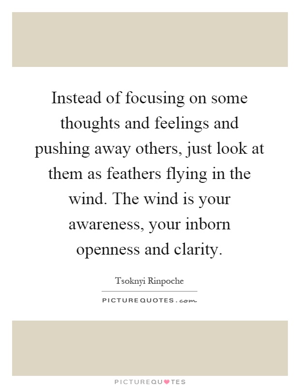 Instead of focusing on some thoughts and feelings and pushing away others, just look at them as feathers flying in the wind. The wind is your awareness, your inborn openness and clarity Picture Quote #1