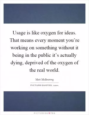 Usage is like oxygen for ideas. That means every moment you’re working on something without it being in the public it’s actually dying, deprived of the oxygen of the real world Picture Quote #1