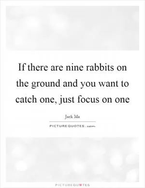 If there are nine rabbits on the ground and you want to catch one, just focus on one Picture Quote #1