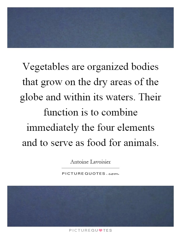 Vegetables are organized bodies that grow on the dry areas of the globe and within its waters. Their function is to combine immediately the four elements and to serve as food for animals Picture Quote #1
