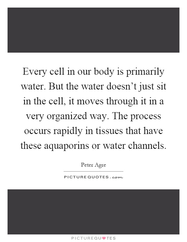 Every cell in our body is primarily water. But the water doesn't just sit in the cell, it moves through it in a very organized way. The process occurs rapidly in tissues that have these aquaporins or water channels Picture Quote #1