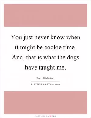You just never know when it might be cookie time. And, that is what the dogs have taught me Picture Quote #1
