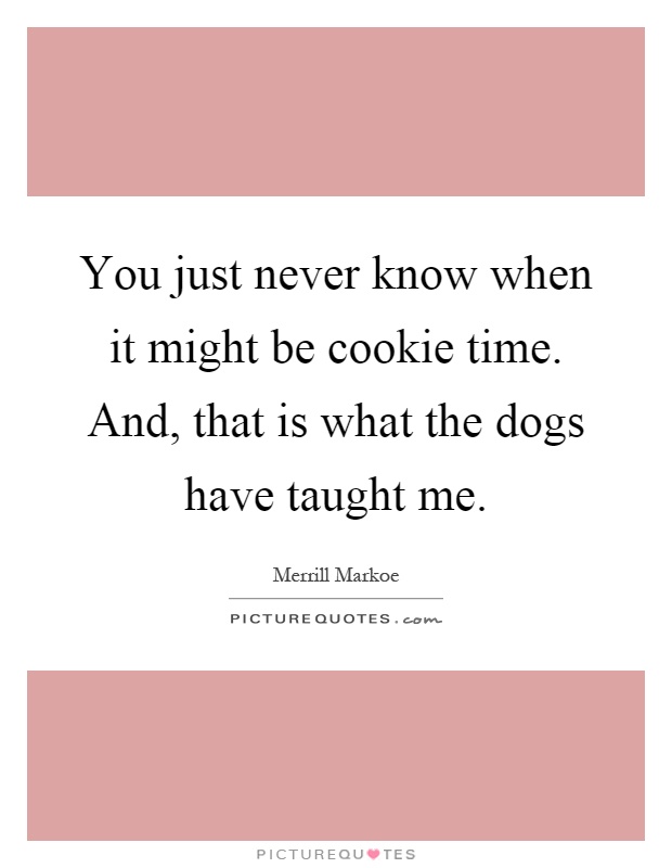 You just never know when it might be cookie time. And, that is what the dogs have taught me Picture Quote #1