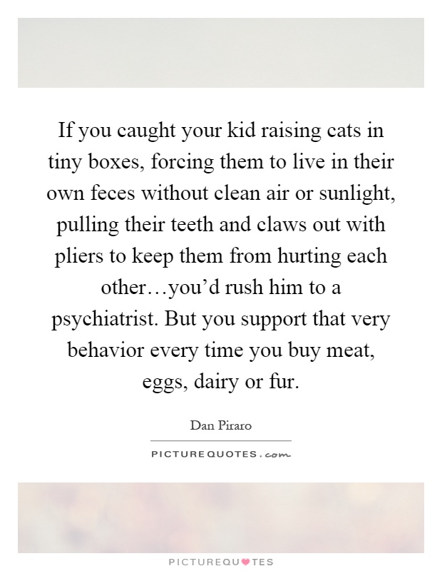 If you caught your kid raising cats in tiny boxes, forcing them to live in their own feces without clean air or sunlight, pulling their teeth and claws out with pliers to keep them from hurting each other…you'd rush him to a psychiatrist. But you support that very behavior every time you buy meat, eggs, dairy or fur Picture Quote #1
