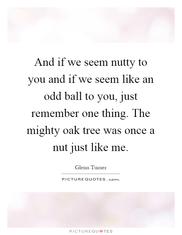 And if we seem nutty to you and if we seem like an odd ball to you, just remember one thing. The mighty oak tree was once a nut just like me Picture Quote #1