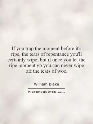 If you trap the moment before it's ripe, the tears of repentance you'll certainly wipe; but if once you let the ripe moment go you can never wipe off the tears of woe Picture Quote #1