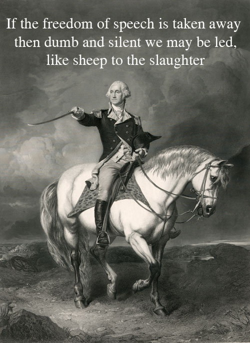 If the freedom of speech is taken away then dumb and silent we may be led, like sheep to the slaughter Picture Quote #2