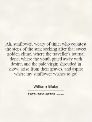 Ah, sunflower, weary of time, who countest the steps of the sun; seeking after that sweet golden clime, where the traveller's journal done; where the youth pined away with desire, and the pale virgin shrouded in snow, arise from their graves, and aspire where my sunflower wishes to go! Picture Quote #1