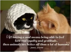 If having a soul means being able to feel love and loyalty and gratitude, then animals are better off than a lot of humans Picture Quote #1