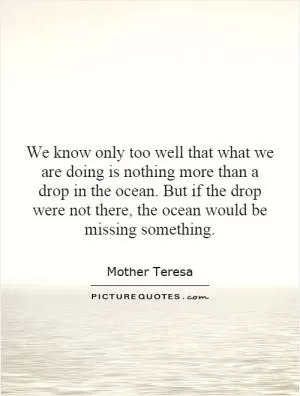 We know only too well that what we are doing is nothing more than a drop in the ocean. But if the drop were not there, the ocean would be missing something Picture Quote #1