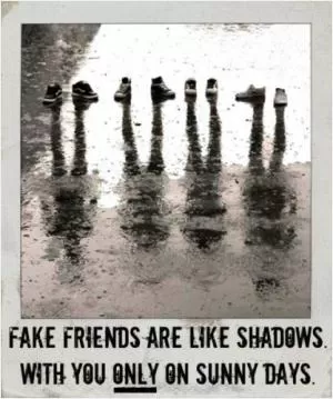 Fake friends are like shadows. With you only on sunny days Picture Quote #1
