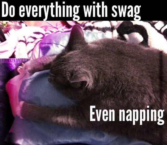 Do everything with swag, even napping Picture Quote #1