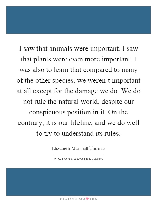 I saw that animals were important. I saw that plants were even more important. I was also to learn that compared to many of the other species, we weren't important at all except for the damage we do. We do not rule the natural world, despite our conspicuous position in it. On the contrary, it is our lifeline, and we do well to try to understand its rules Picture Quote #1