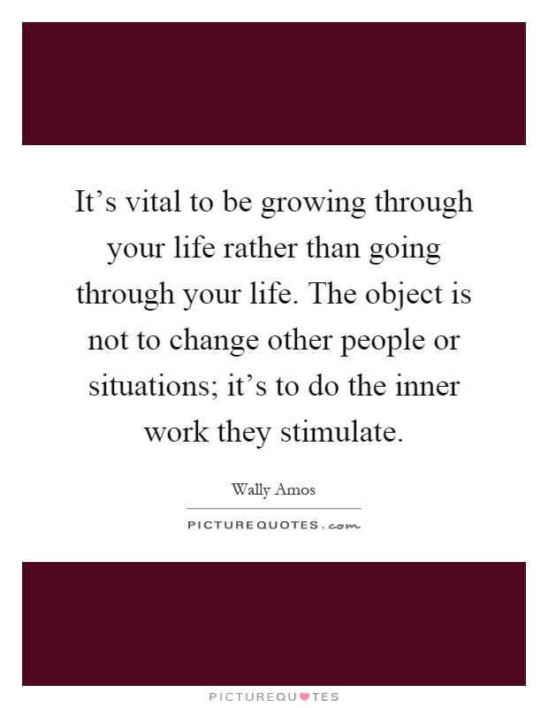 It's vital to be growing through your life rather than going through your life. The object is not to change other people or situations; it's to do the inner work they stimulate Picture Quote #1