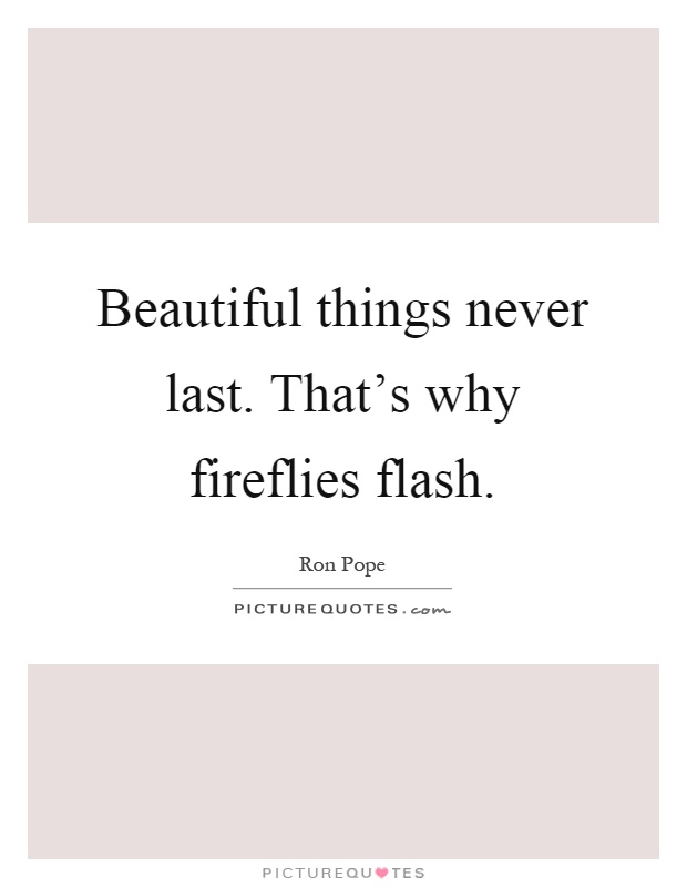 Beautiful things never last. That's why fireflies flash Picture Quote #1
